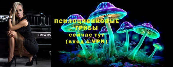 индика Арсеньев
