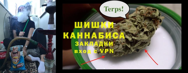 индика Аркадак