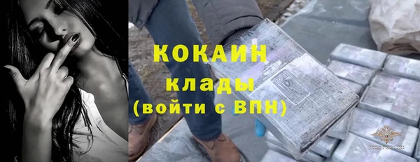 индика Арсеньев