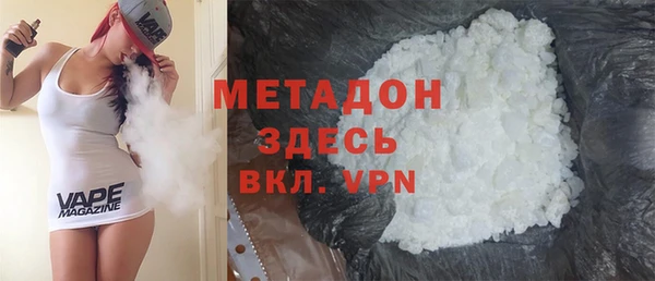 индика Арсеньев