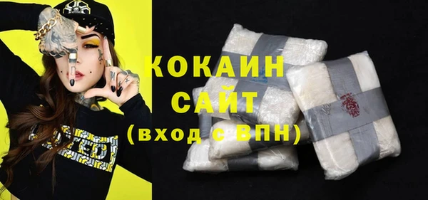 индика Аркадак
