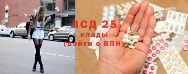 индика Аркадак