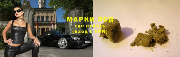 индика Арсеньев