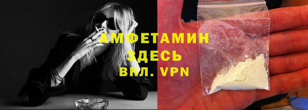 стаф Ростов