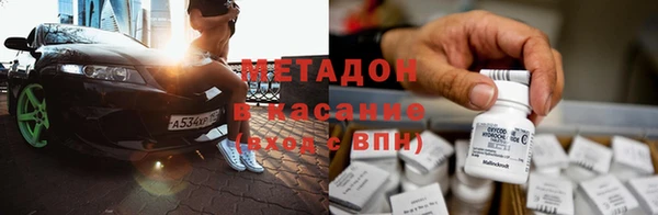 индика Аркадак