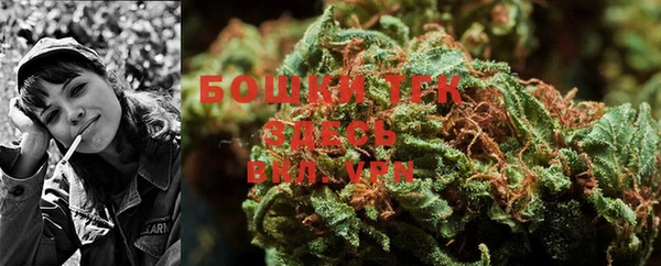 индика Аркадак