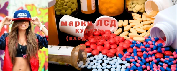 индика Аркадак