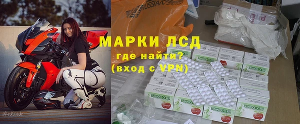 индика Арсеньев