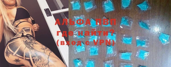 стаф Ростов