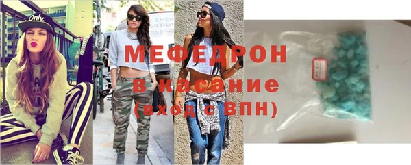 индика Арсеньев