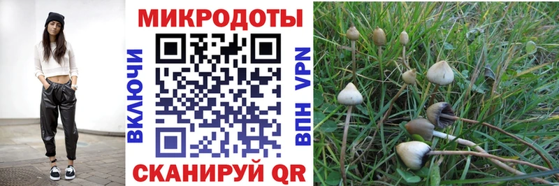 наркота  Макушино  Галлюциногенные грибы ЛСД 